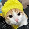 想賺錢