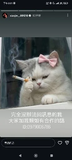 User_840234734