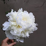 user_1539779058