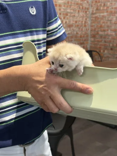 看得透股市卻看不清妳