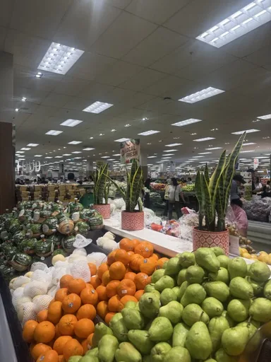 user_63204281