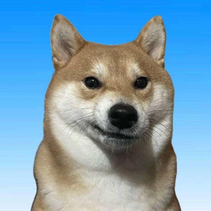 User_2136588753