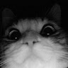 user_3057194066