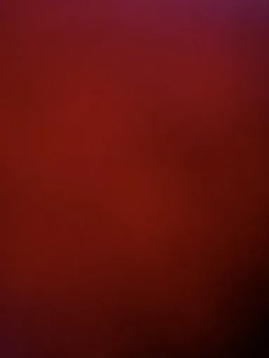 Dan