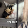 user_4146378892