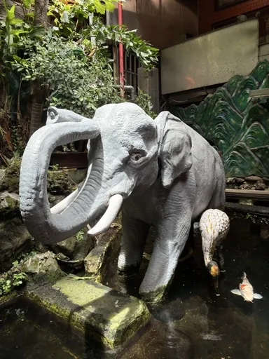 金酷