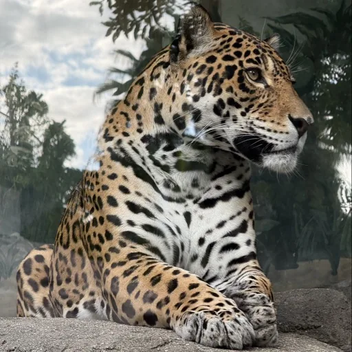 User_4092872035
