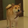 User_295439162