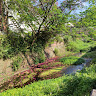 User_1410506028