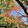Calvin Hsu