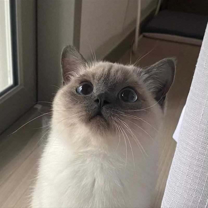 User_2237714295
