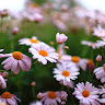 User_150886486