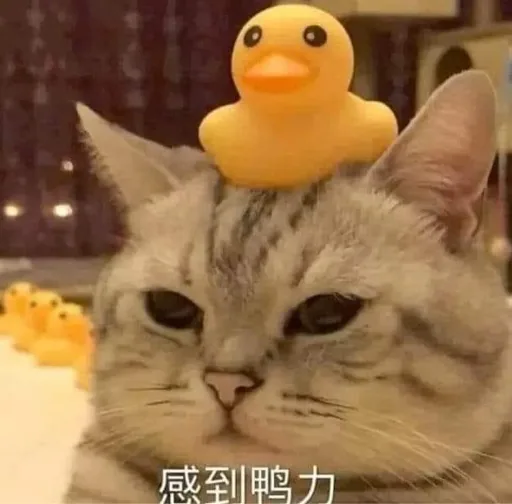 QQorz