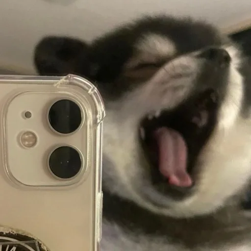 朱小姐