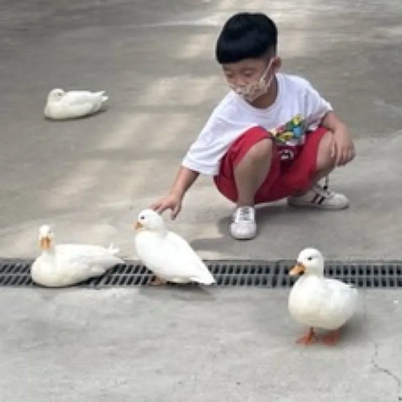 檳榔路土雞城