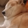 user_2373525441