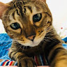 user_167557788