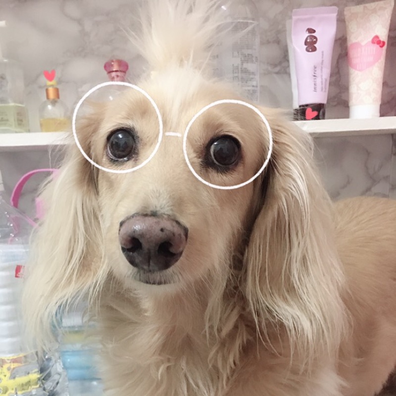 薇薇💕