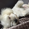 User_2982053500