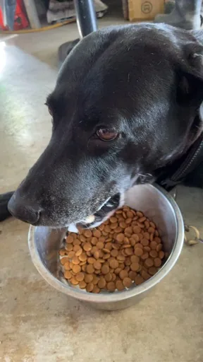 Yum
