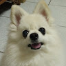 張君