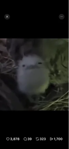 oooo