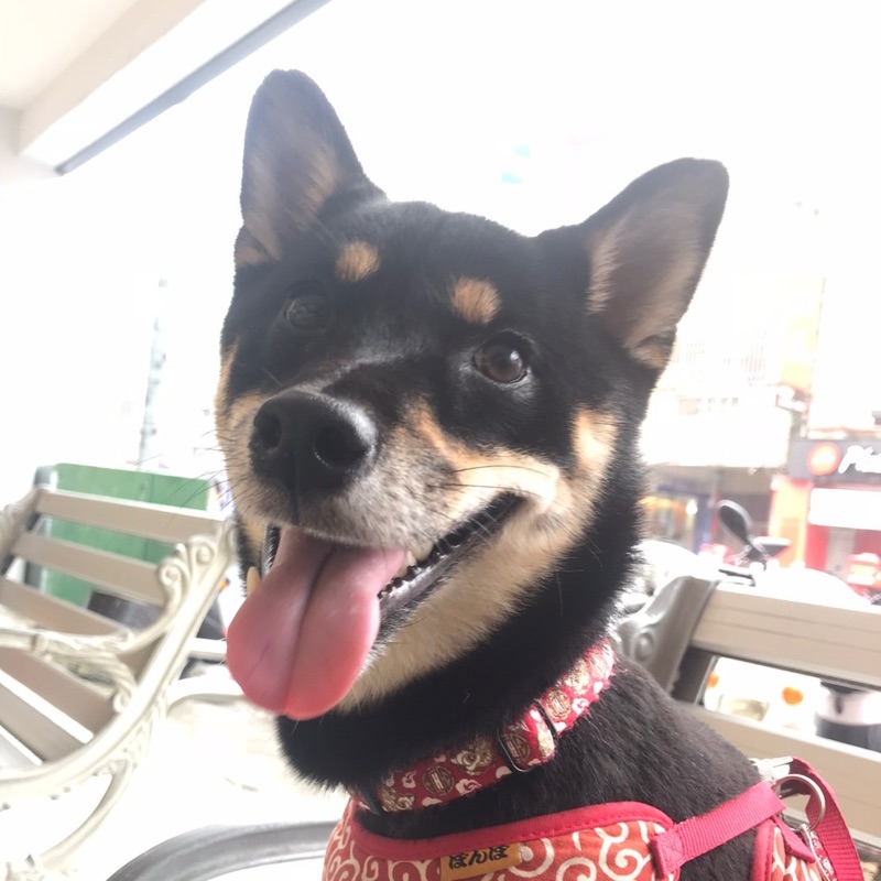 修