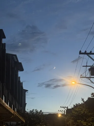 阿豪
