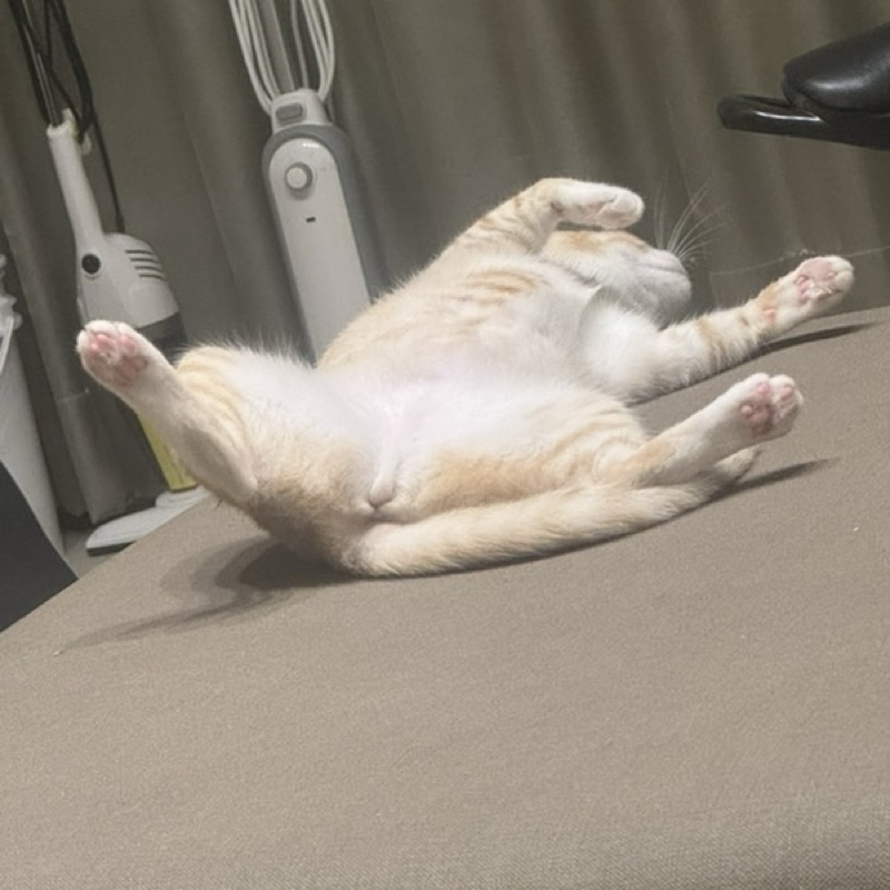 Min