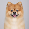 User_1292067023