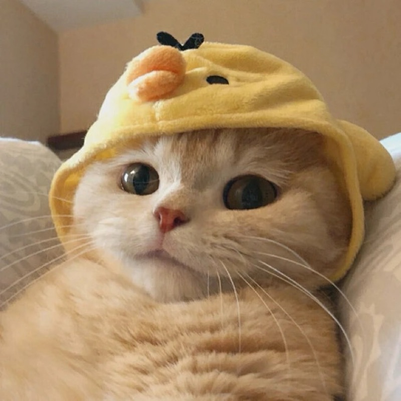user_0609