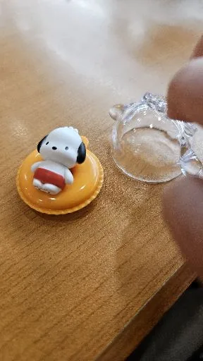 貝貝