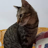 伶