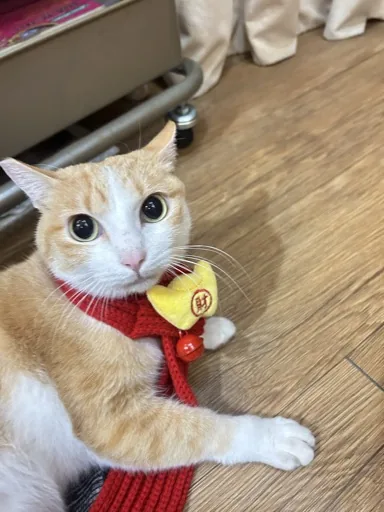 陳明德