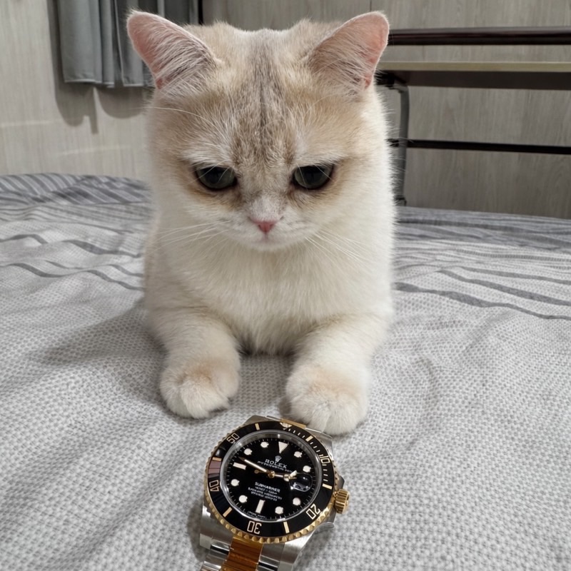 周