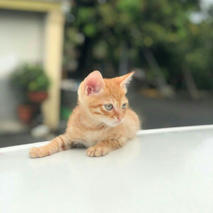 user_414695714