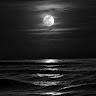 User_2240412639