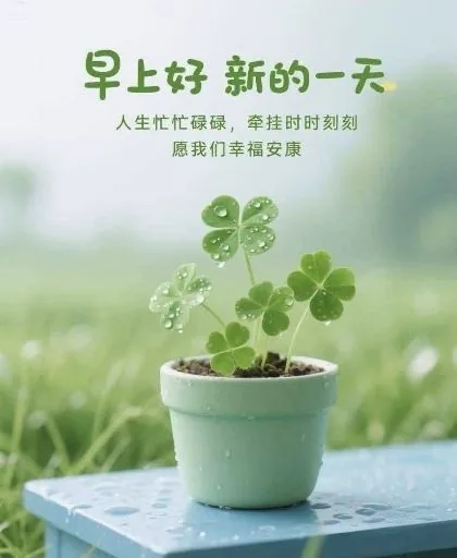 劉慧琳