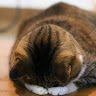 User_2884060187