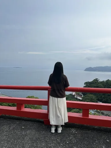 薇薇薇薇