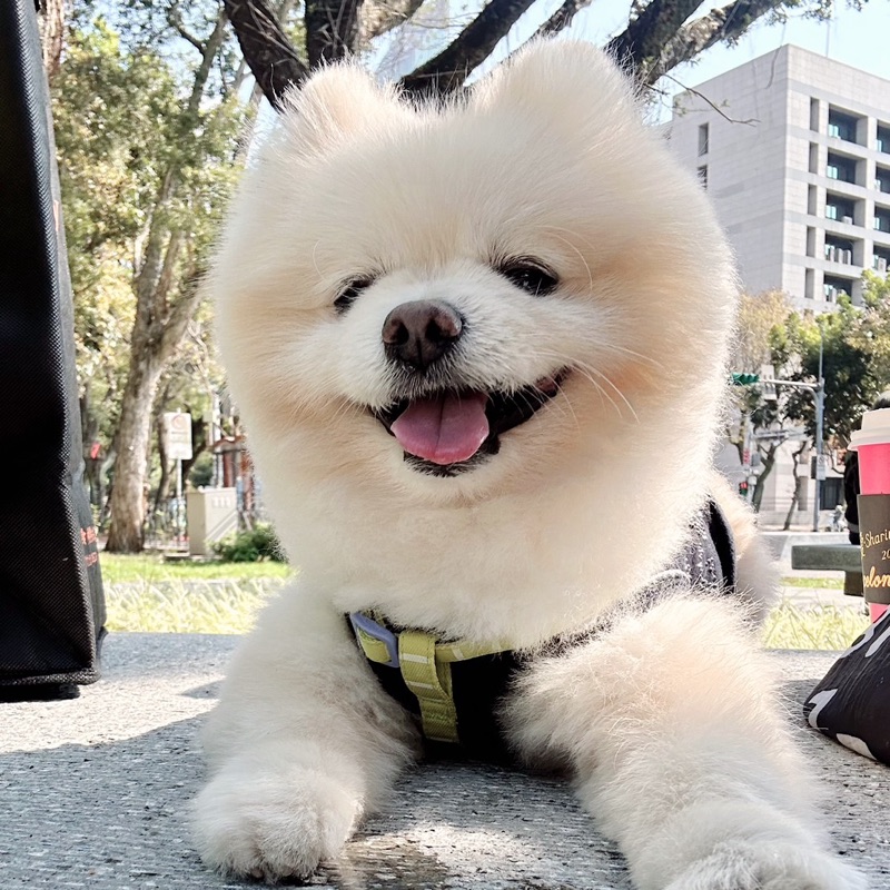 Tracy Kuo 郭小圓