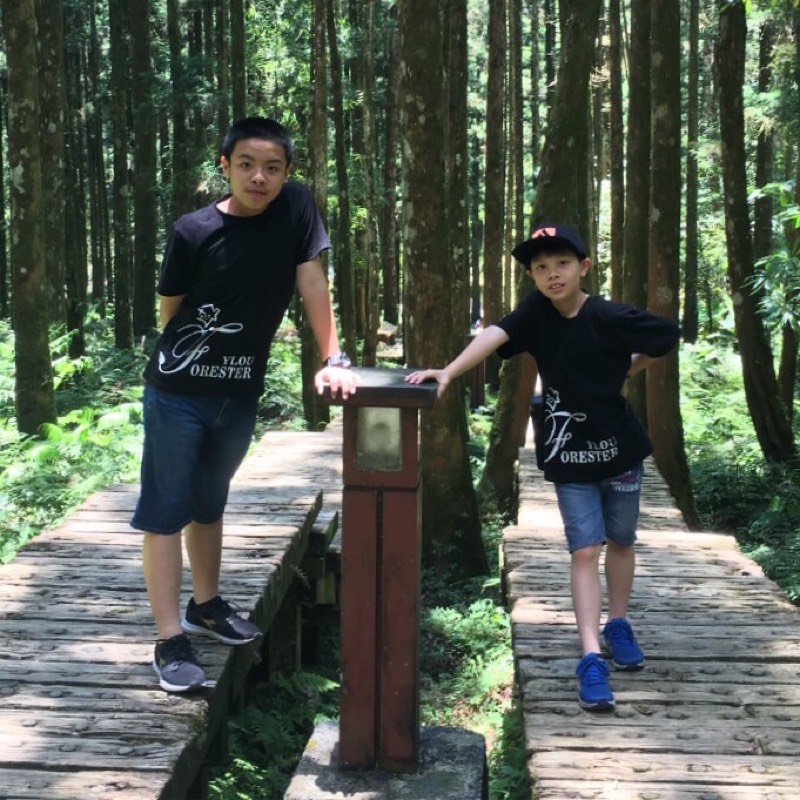 珍汝