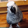 王