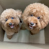 user_656127515