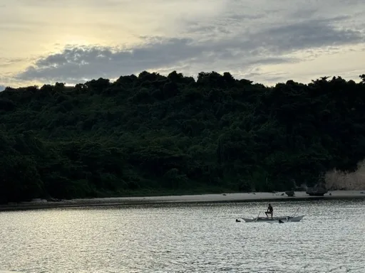 魚
