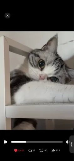 壹伍貳