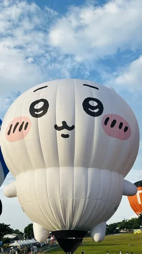 user_3351359953