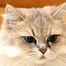 User_2510590790