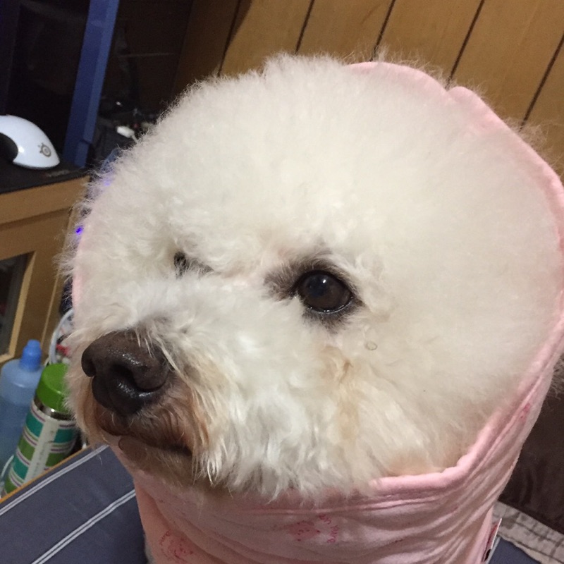 米哈嚕