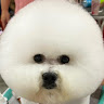 Bo